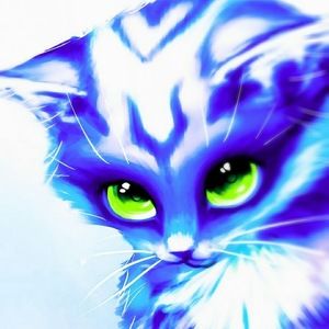 Meet your Posher, Galaxy kitty